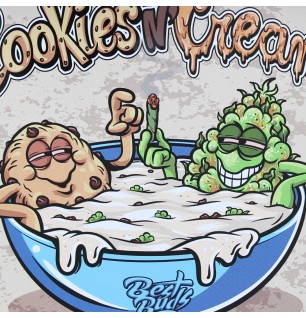 PLATEAU COOKIE (Petit Modèle)