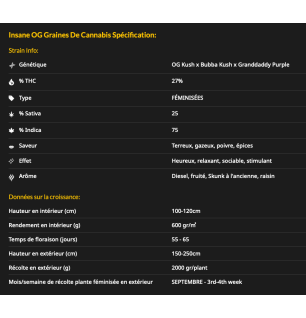 INSANE OG - FÉMINISÉE