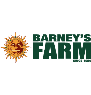 PAPAYA FROSTING - FÉMINISÉE