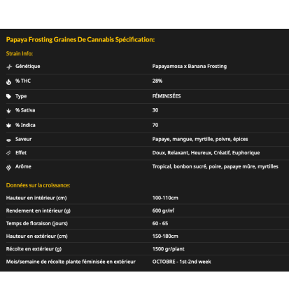 PAPAYA FROSTING - FÉMINISÉE