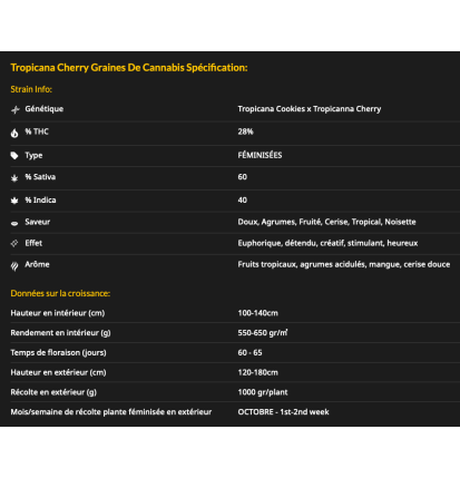 TROPICANNA CHERRY - FÉMINISÉE