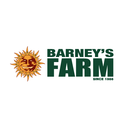 GORILLA GLUE - AUTOFLORAISON