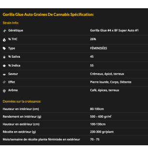 GORILLA GLUE - AUTOFLORAISON