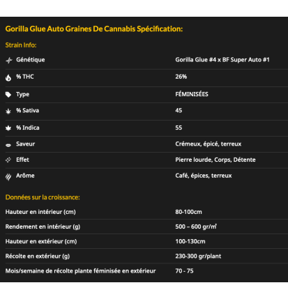 GORILLA GLUE - AUTOFLORAISON