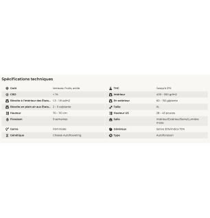 ORIGINAL CHEESE - AUTOFLORAISON