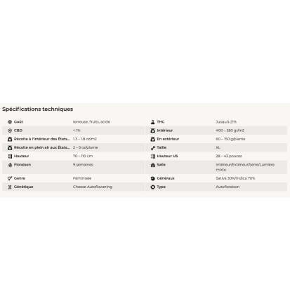 ORIGINAL CHEESE - AUTOFLORAISON