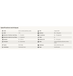 ORIGINAL TRAINWERK - AUTOFLORAISON