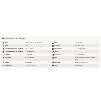 ORIGINAL TRAINWERK - AUTOFLORAISON