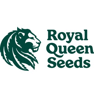 FAT BANANA - AUTOFLORAISON