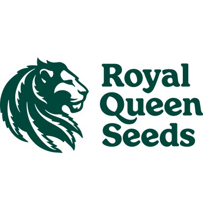 FAT BANANA - AUTOFLORAISON