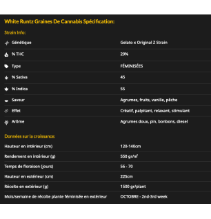 WHITE RUNTZ - FÉMINISÉE