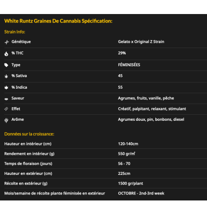 WHITE RUNTZ - FÉMINISÉE