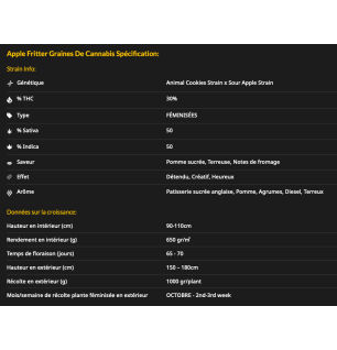 APPLE FRITTER - FÉMINISÉE