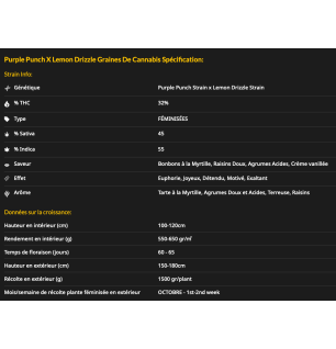 PURPLE PUNCH X LEMON DRIZZLE - FÉMINISÉE
