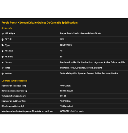 PURPLE PUNCH X LEMON DRIZZLE - FÉMINISÉE