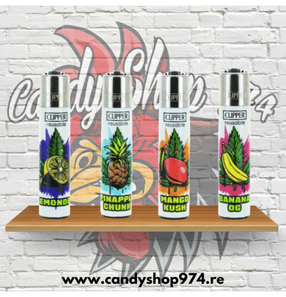 LOT DE 4 BRIQUETS CLIPPER - FRUITS