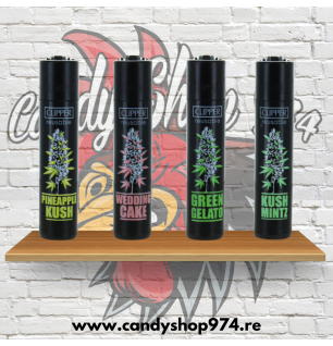 LOT DE 4 BRIQUETS CLIPPER - PLANTES