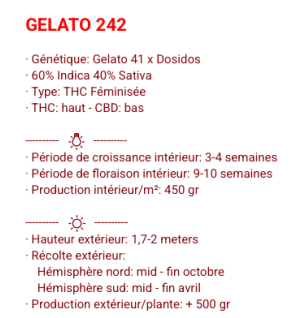 GELATO 242 - FÉMINISÉE