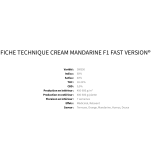 CREAM MANDARINE F1 FAST VERSION - FÉMINISÉE