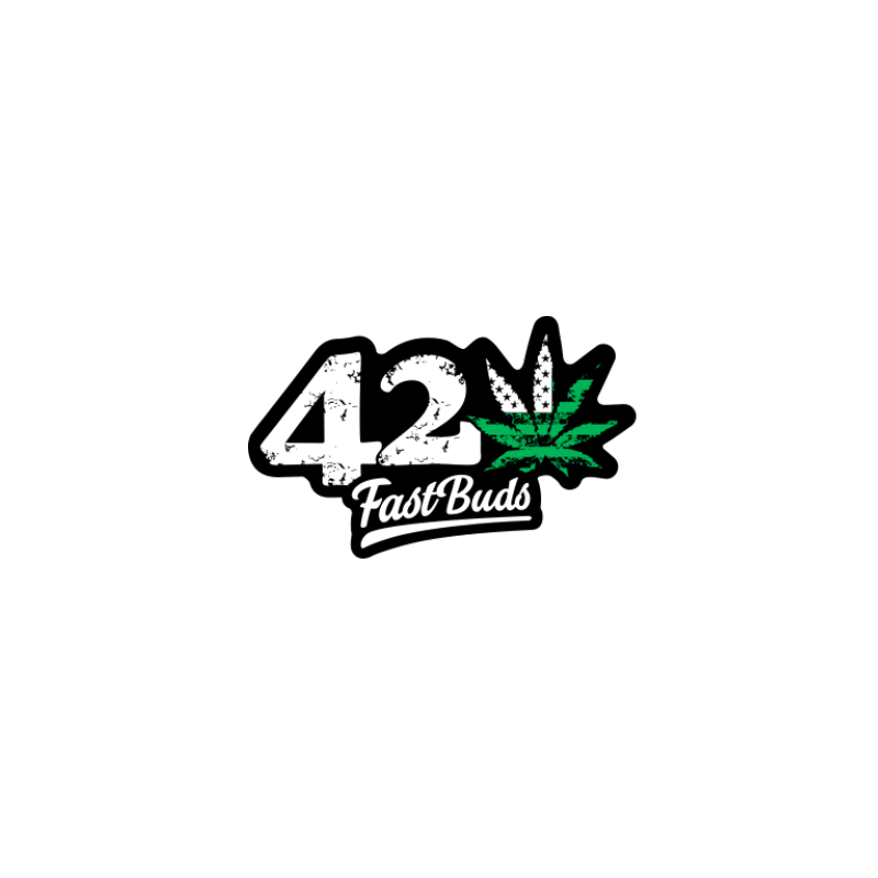 GORILLA ZKITTLEZ - AUTOFLORAISON GORILLA ZKITTLEZ - AUTOFLORAISON