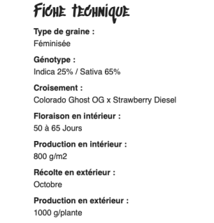 BRUCE BANNER - FÉMINISÉE