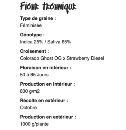 BRUCE BANNER - FÉMINISÉE
