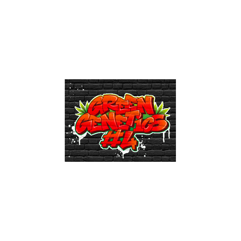 GORILLA GLUE - FÉMINISÉE
