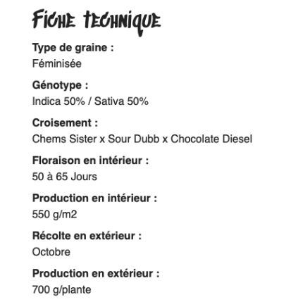 GORILLA GLUE - FÉMINISÉE