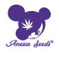 CHIMERA CUT - FÉMINISÉE "ANÉSIA SEEDS"