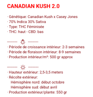 CANADIAN KUSH 2.0 - FÉMINISÉE