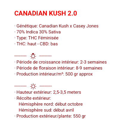 CANADIAN KUSH 2.0 - FÉMINISÉE