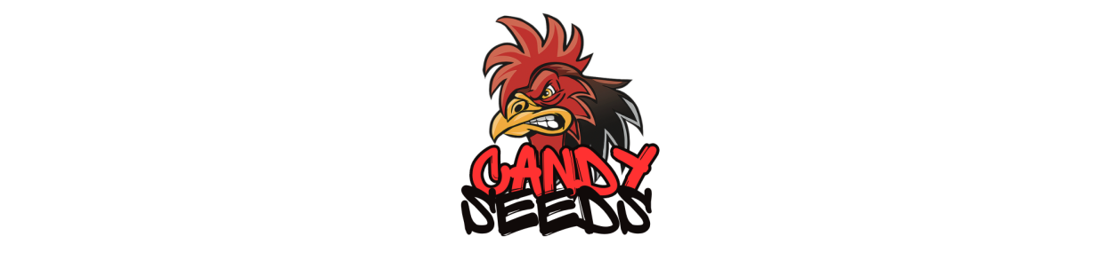 CANDY SEEDS
